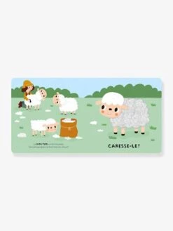 Coffret à Toucher - Les Animaux De La Ferme - AUZOU Bleu - Auzou -Jouets et Rêves Soldes 2025 coffret a toucher les animaux de la ferme auzou 3