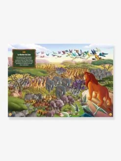 DISNEY CLASSIQUES - Où Se Cachent Tes Héros ? - Cherche Et Trouve - HACHETTE JEUNESSE Blanc - Disney 8 DISNEY CLASSIQUES - Où Se Cachent Tes Héros ? - Cherche Et Trouve - HACHETTE JEUNESSE Blanc - Disney -Jouets et Rêves Soldes 2025 disney classiques ou se cachent tes heros cherche et trouve hachette jeunesse 2