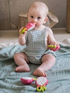 Fushia Le Fruit Du Dragon - OLI & CAROL Rose - Oli Et Carol -Jouets et Rêves Soldes 2025 fushia le fruit du dragon oli carol 2