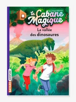 La Cabane Magique - T.1 - La Vallée Des Dinosaures - BAYARD JEUNESSE Blanc - Hachette