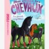 Mes Amis Les Chevaux - T.2 - La Grande Compétition - HACHETTE Blanc - Hachette 1 Mes Amis Les Chevaux - T.2 - La Grande Compétition - HACHETTE Blanc - Hachette -Jouets et Rêves Soldes 2025 mes amis les chevaux t.2 la grande competition hachette