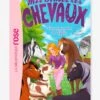 Mes Amis Les Chevaux - T.35 - L'anniversaire De Sophie - HACHETTE Blanc - Hachette -Jouets et Rêves Soldes 2025 mes amis les chevaux t.35 lanniversaire de sophie hachette