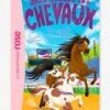 Mes Amis Les Chevaux - T.37 - Une Médaille Pour Moustique - HACHETTE Blanc - Hachette 1 Mes Amis Les Chevaux - T.37 - Une Médaille Pour Moustique - HACHETTE Blanc - Hachette -Jouets et Rêves Soldes 2025 mes amis les chevaux t.37 une medaille pour moustique hachette