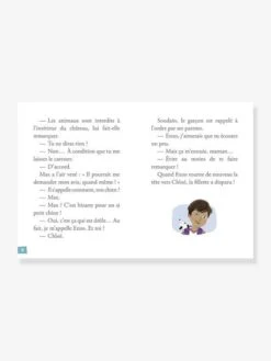 Mes Premières Enquêtes - T.1 - Le Fantôme Du Château - AUZOU Marron - Auzou -Jouets et Rêves Soldes 2025 mes premieres enquetes t.1 le fantome du chateau auzou 2