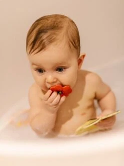 Pop Le Coquelicot - OLI & CAROL Rouge - Oli Et Carol 11 Pop Le Coquelicot - OLI & CAROL Rouge - Oli Et Carol -Jouets et Rêves Soldes 2025 pop le coquelicot oli carol 3