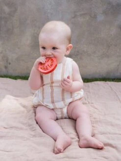 Renato La Tomate - OLI & CAROL Rouge - Oli Et Carol -Jouets et Rêves Soldes 2025 renato la tomate oli carol 2